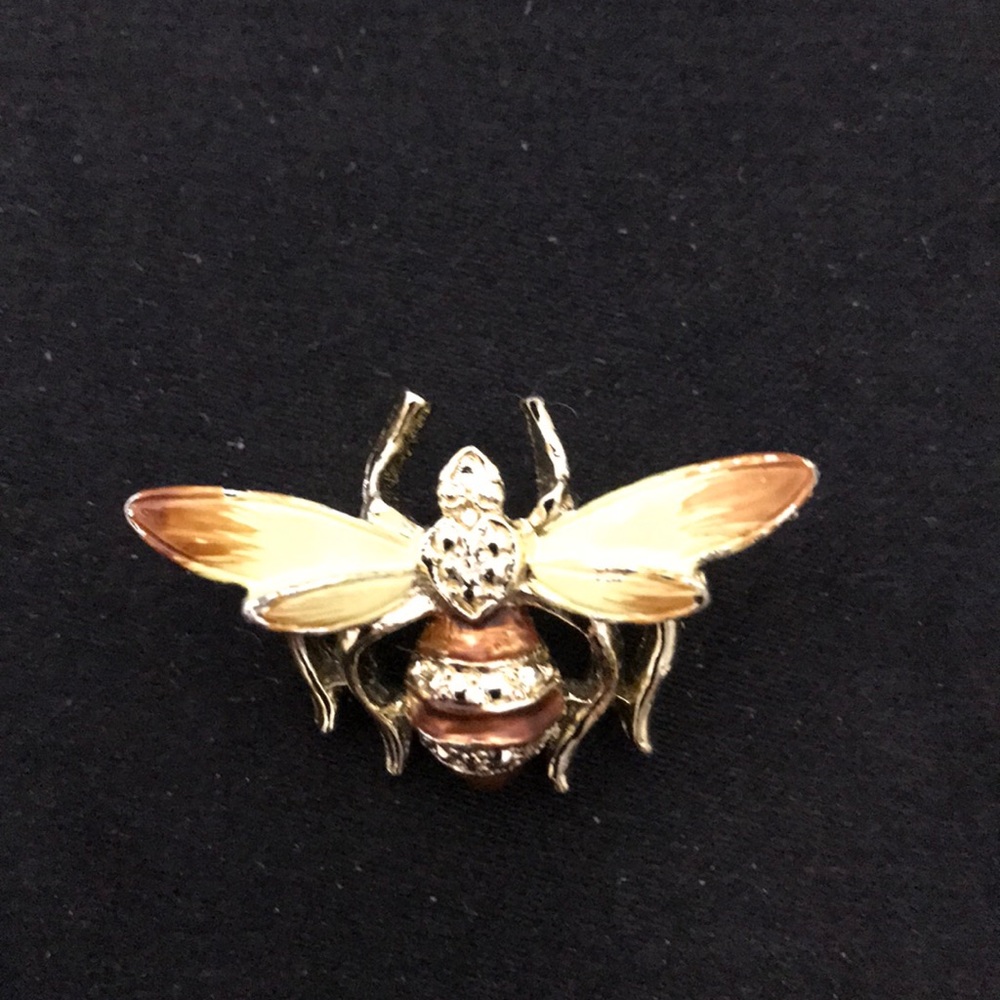 Tiny Wonder Honey Bee Pin - image 1